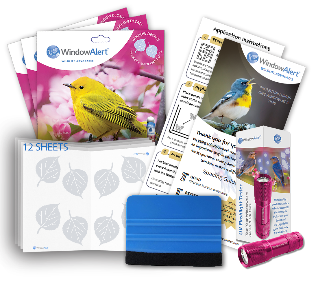 WindowAlert Large Starter Pack