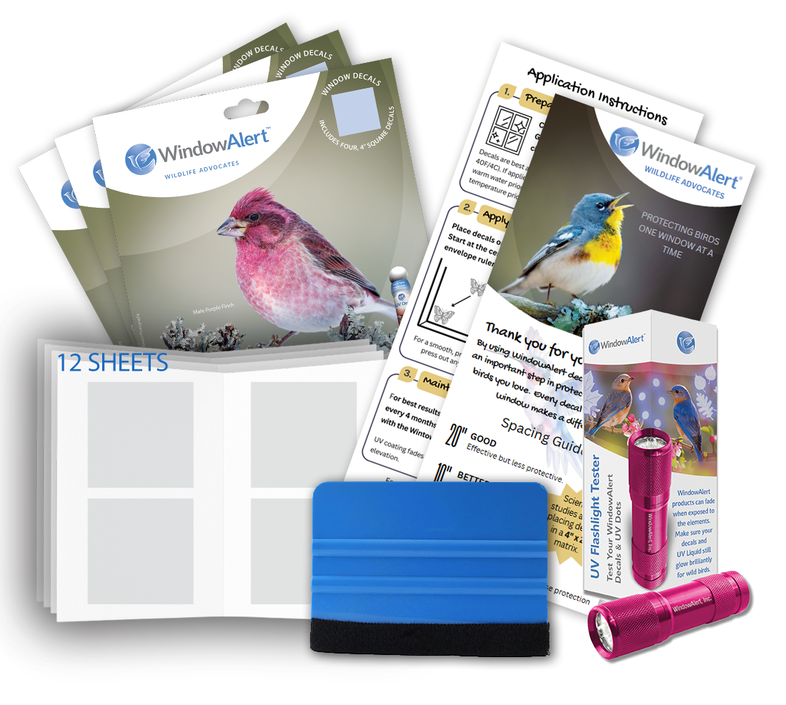 WindowAlert Large Starter Pack