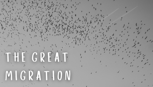 The Great Migration of 2026