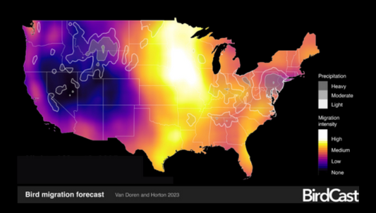 BirdCast: The Essential Bird Migration Forecast Tool