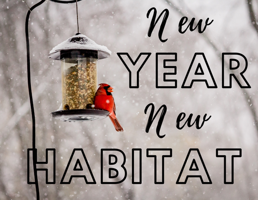 New Year New Habitat