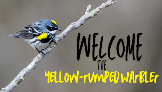 Prepare for Spring Migration & Join Our New Referral Program!