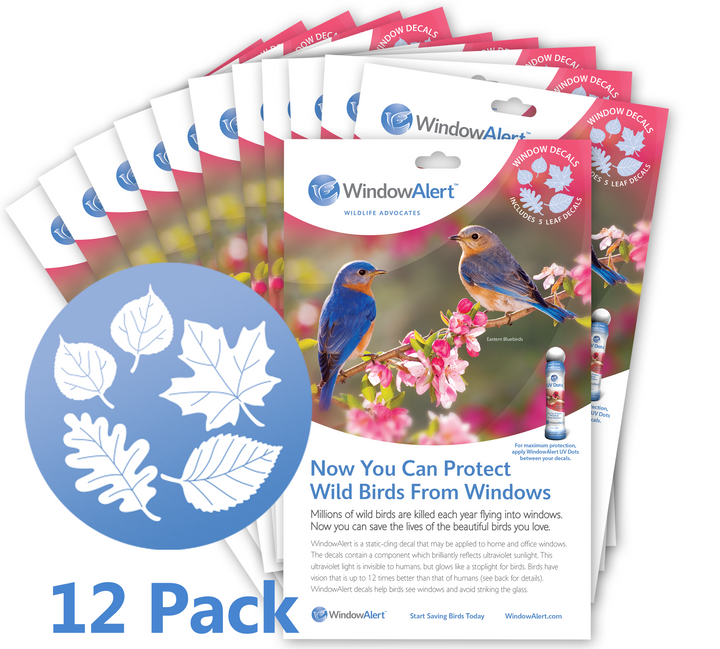 Anti-Collision Window Decals | UV Liquid for Birds – WindowAlert