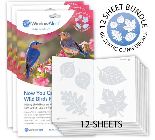 [Design: Leaf Medley]