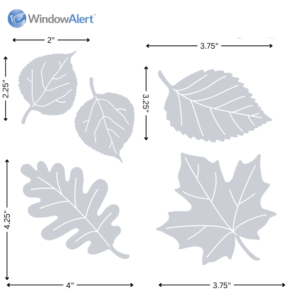 Leaf Medley Decal Envelope