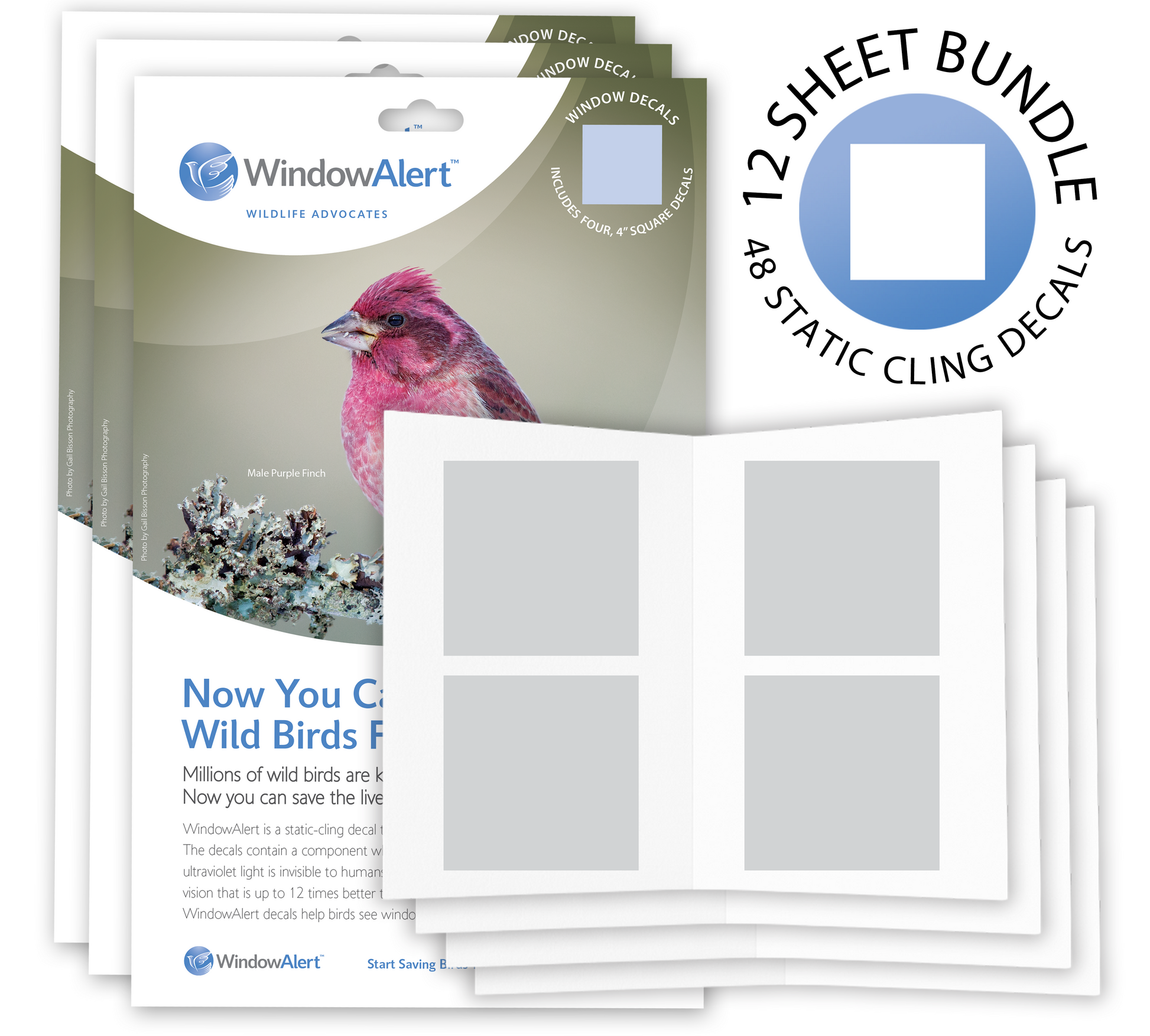 [Design: Classic Square] WindowAlert wildlife decal set with packaging and decals on a white background