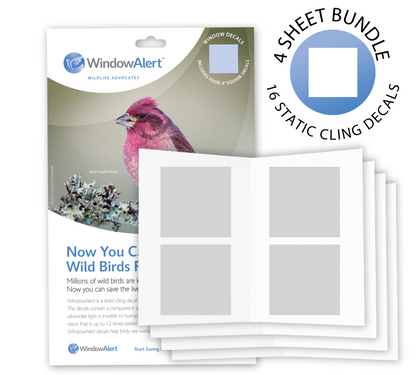 [Design: Classic Square] WindowAlert bird window decal set with packaging on a white background