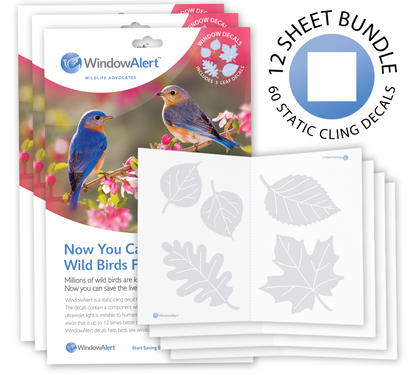 [Design: Leaf Medley] WindowAlert leaf decals with packaging and promotional text. 12 sheet bundle 