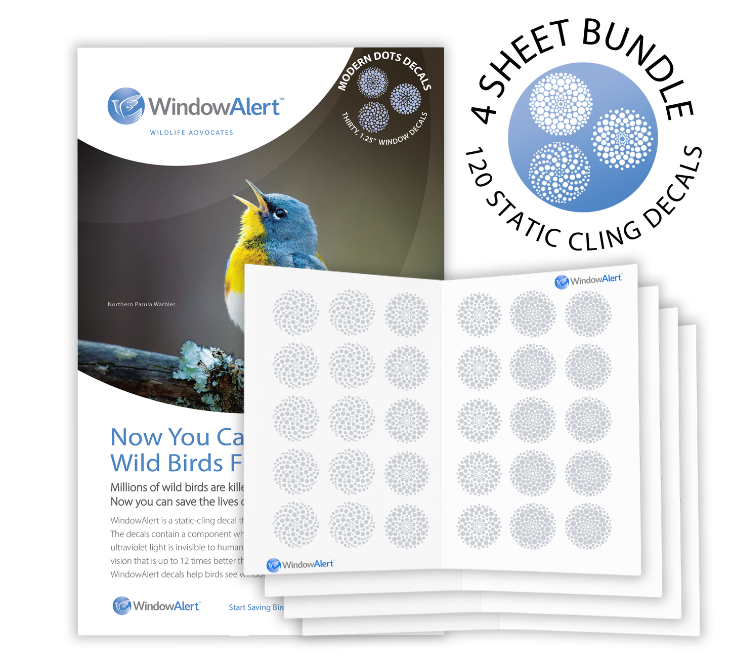 [Design: Modern Dots] WindowAlert product bundle with leaflet and static cling decals on a white background