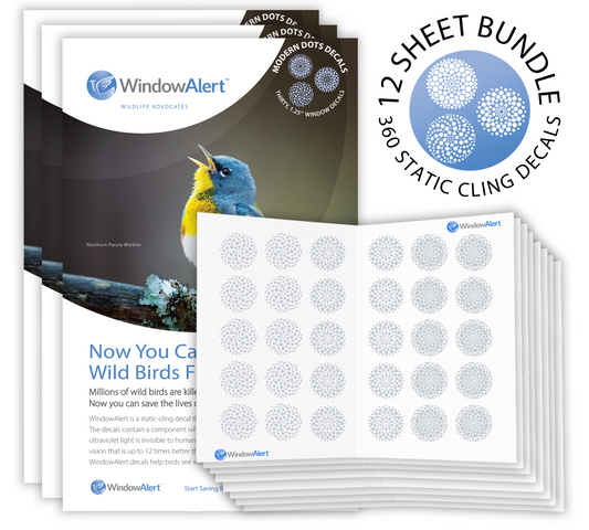 [Design: Modern Dots] WindowAlert product bundle with uv reflective decals.