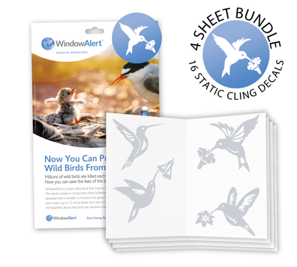 Mismatched Special - Hummingbird 4-Sheet bundle