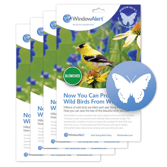 Prevents bird strikes on glass windows using UV technology. Made in the USA. Outlet Sale 4 pack