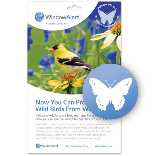 Butterfly Window Decal - Prevent Bird Strikes