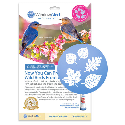 Leaf Medley UV Window Decals - Classic Series