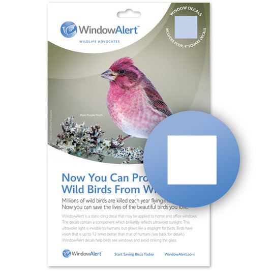Window Alert Classic Square Decal  prevents birds from striking windows.