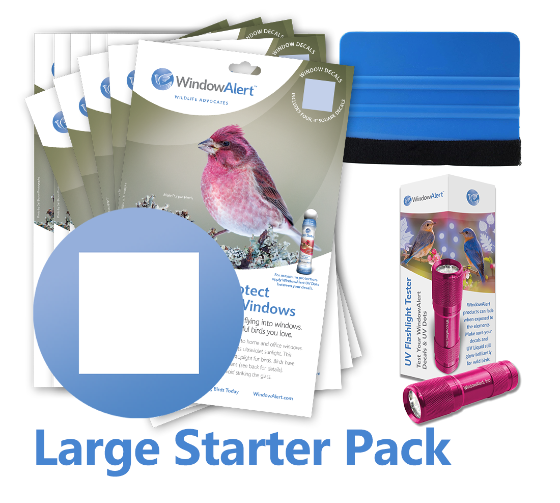 WindowAlert Large Starter Pack