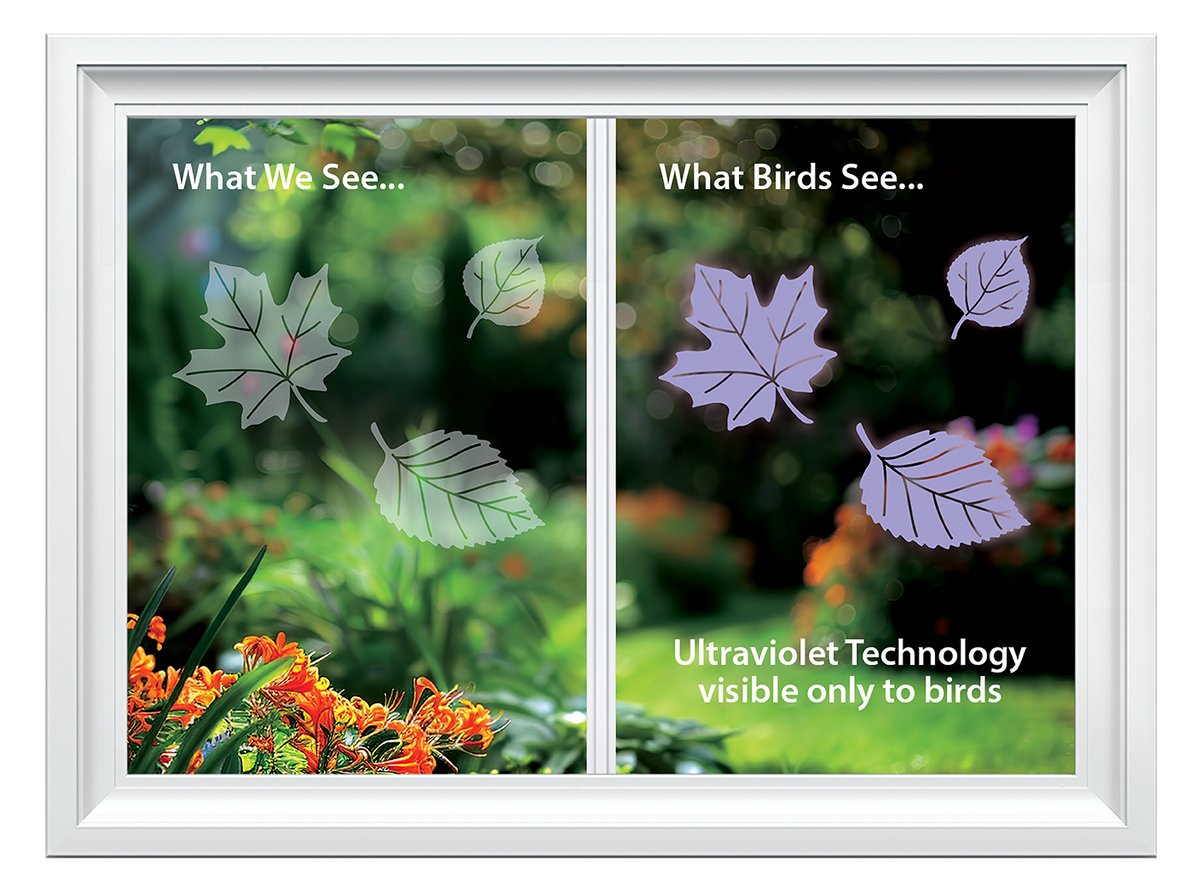 Leaf Medley UV Window Decals - Classic Series