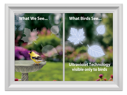 Supporting image - What Birds See