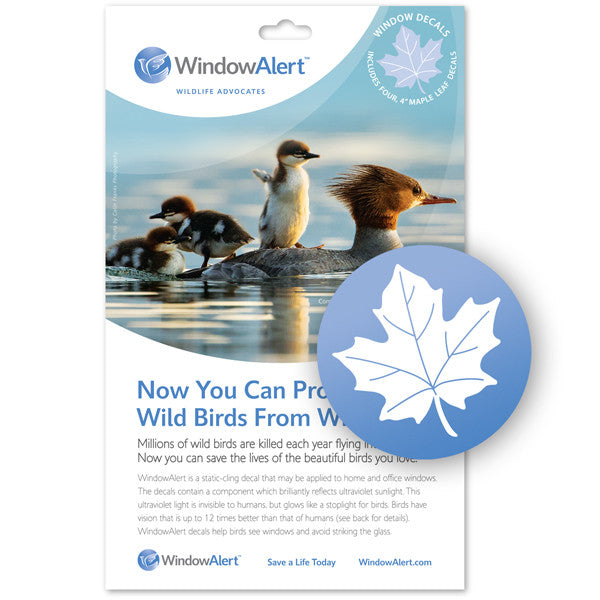 Maple Leaf Window Decal - Prevent Bird Strikes. Butterfly Window Decal what we see and what birds see.Aspen Leaf UV decals to prevent bird strikes. 