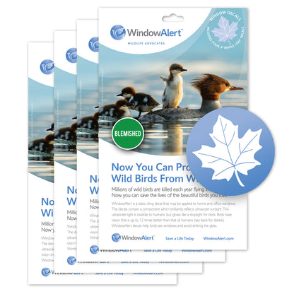 [Design: Maple Leaf] Prevents bird strikes on glass windows using UV technology. Made in the USA. Blemished 4-pack