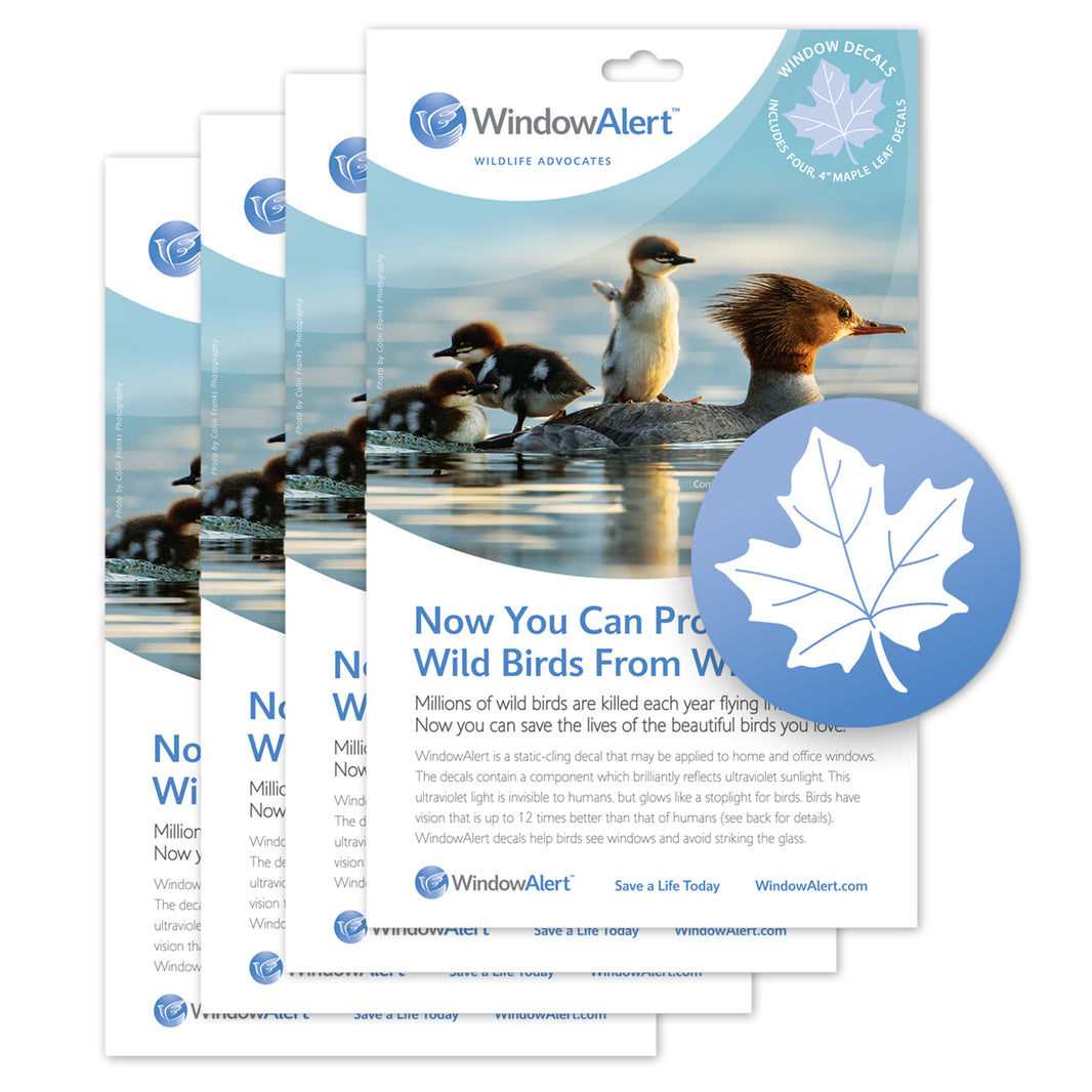 Anti-Collision Window Decals | UV Liquid for Birds – WindowAlert