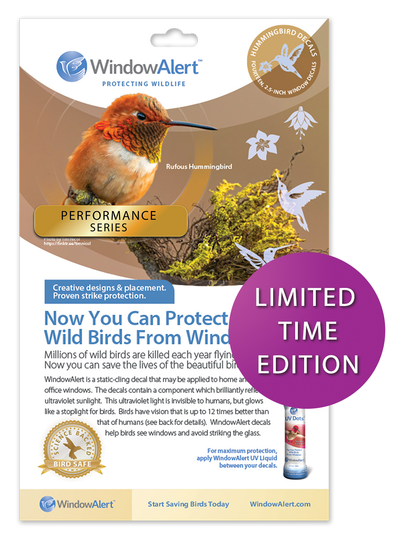 Performance Edition - Hummingbird UV Window Decals