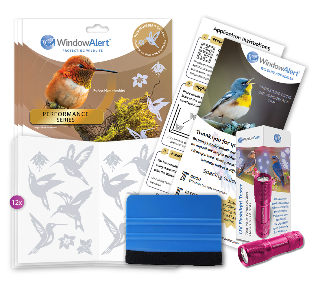 Performance Edition - Hummingbird UV Window Decals