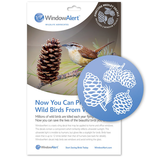 Pinecone Medley Window Decal what we see and what birds see.Aspen Leaf UV decals to prevent bird strikes. 