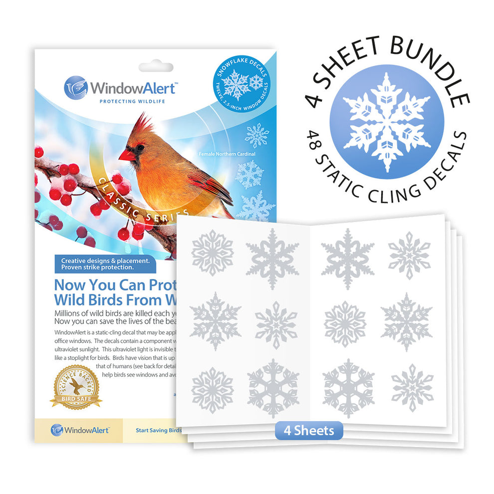 Classic 4-Sheet Bundle – WindowAlert